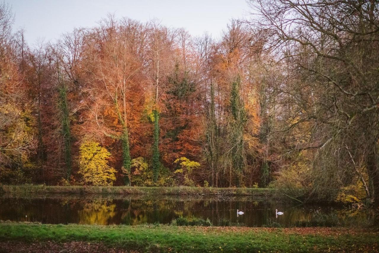 B&B Park7 Wavre - Leuven Huldenberg 外观 照片